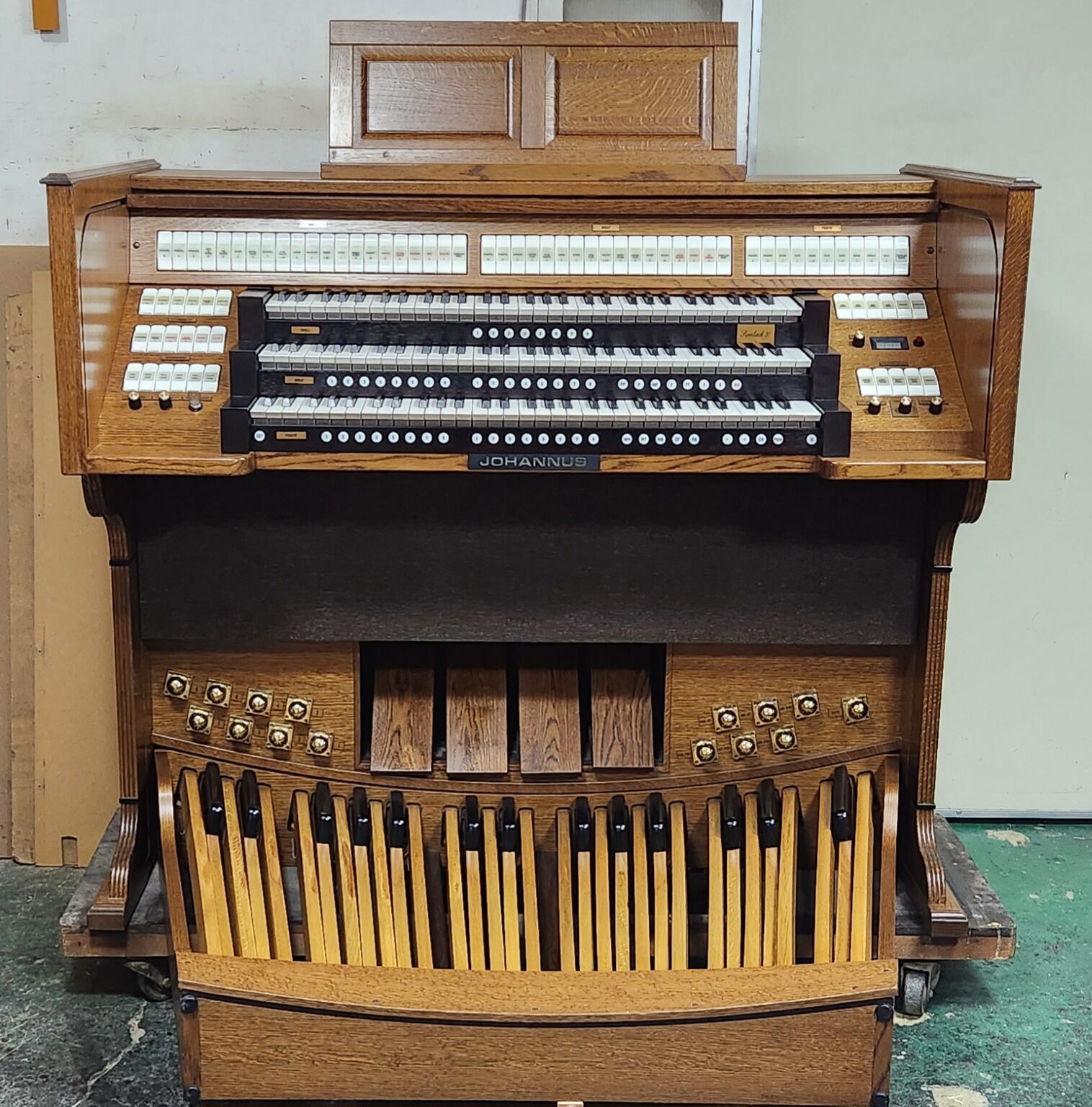 요하누스  스웰링크-30